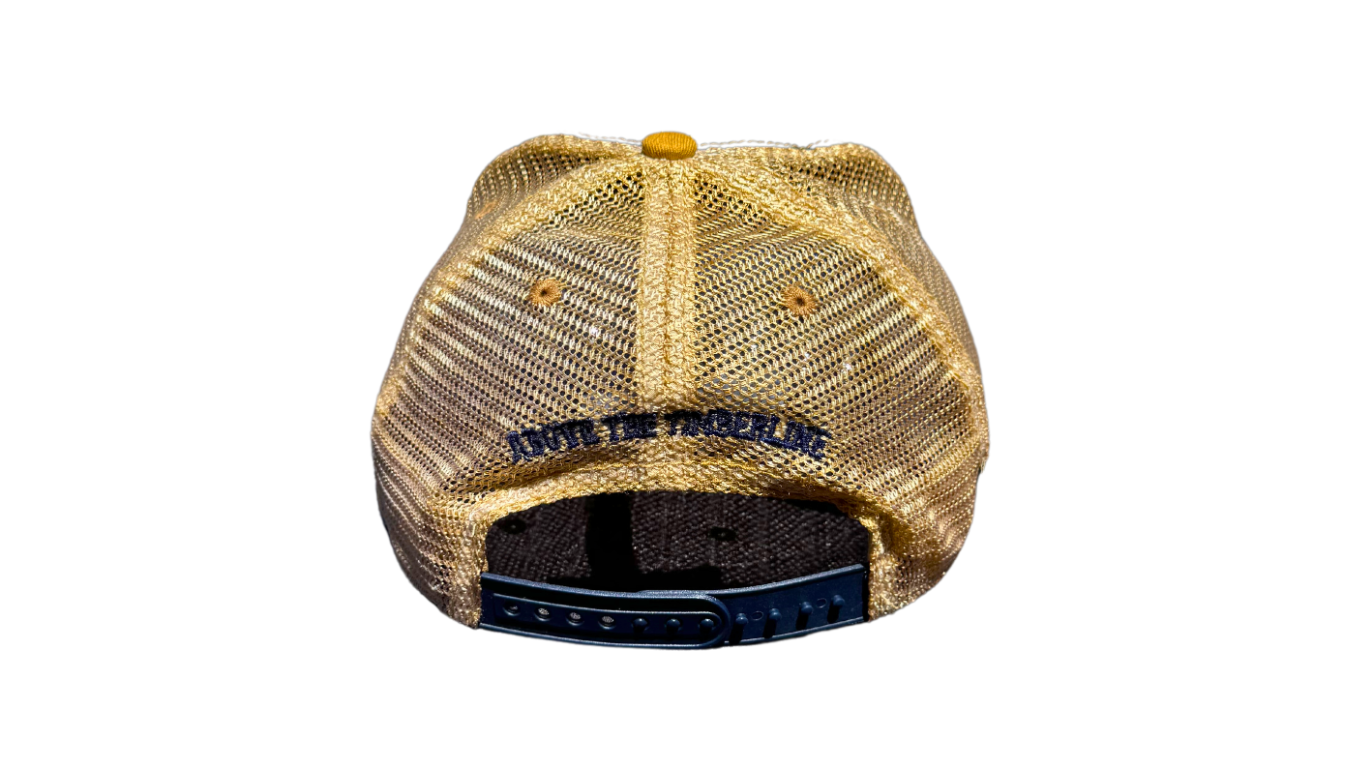 Yellow & Blue Faded Hat