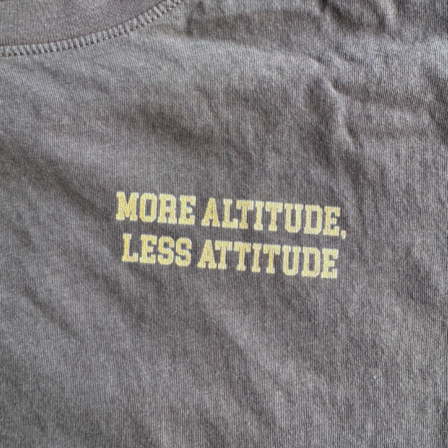 More Altitude, Less Attitude Long Sleeve Tee